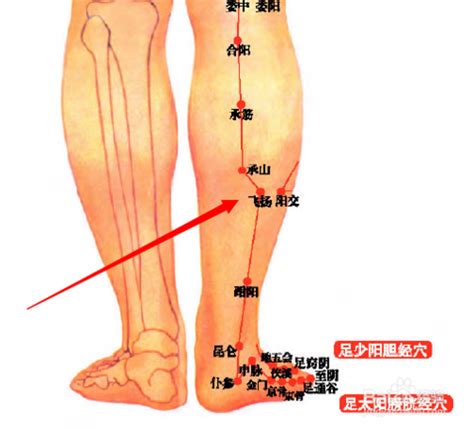 飛揚穴位置|飛揚穴:名稱釋義,功能作用,定位,解剖,主治,操作,臨床運。